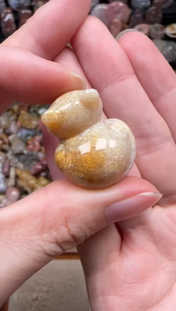 颈饰未镶嵌硅化珊瑚（珊瑚玉）057