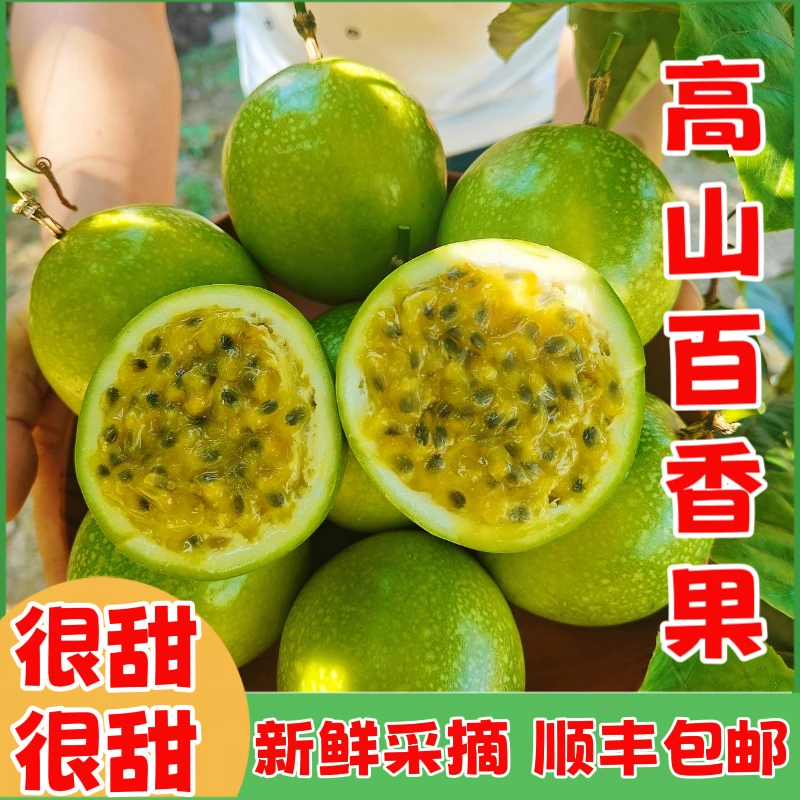 (纯桂林高山百香果国庆)广西桂林新鲜钦蜜九号香甜黄金百香果顺丰