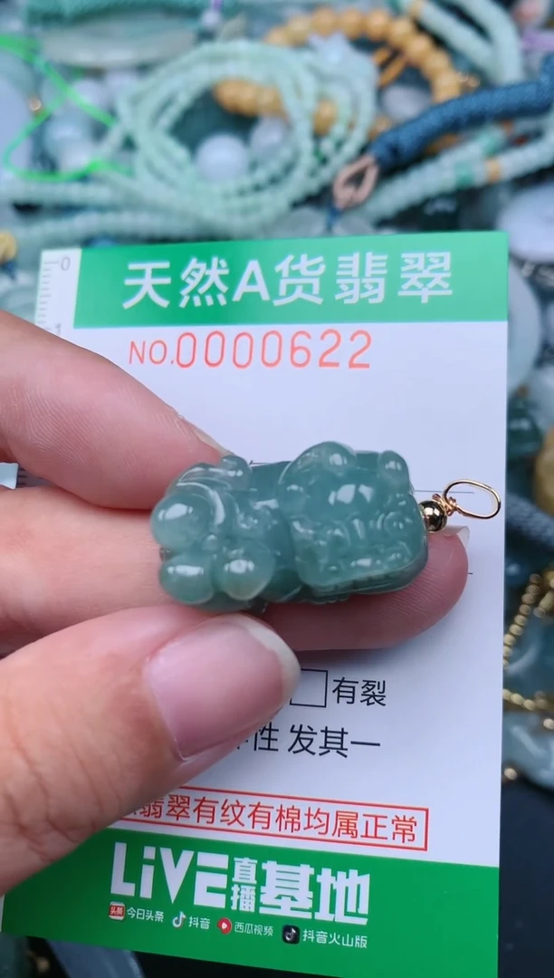 翡翠未镶嵌颈饰.0000622