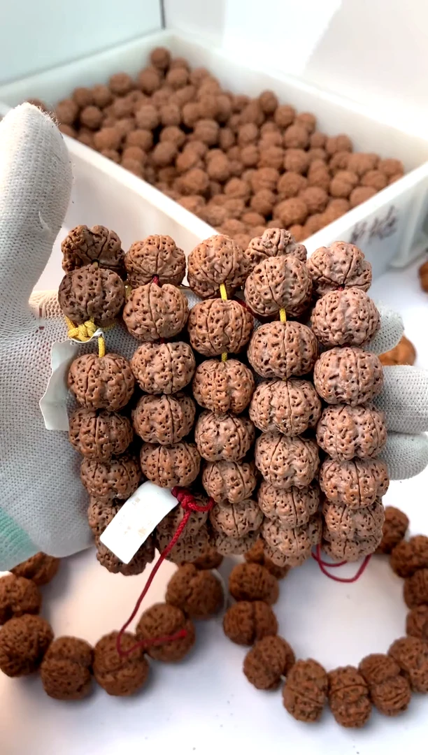 手串金刚菩提白茬老树纽扣梅花尺寸19毫米