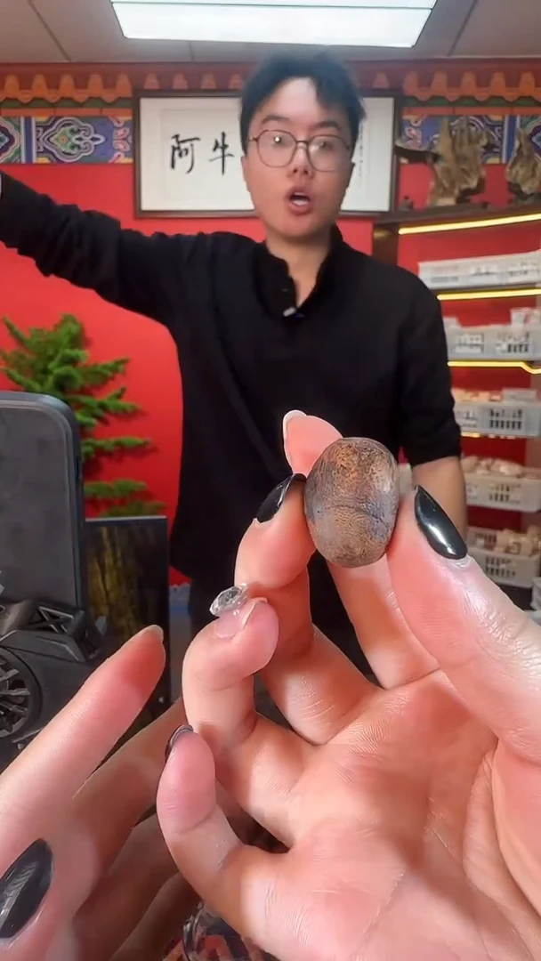 沉香吊坠R14文莱多样性发一