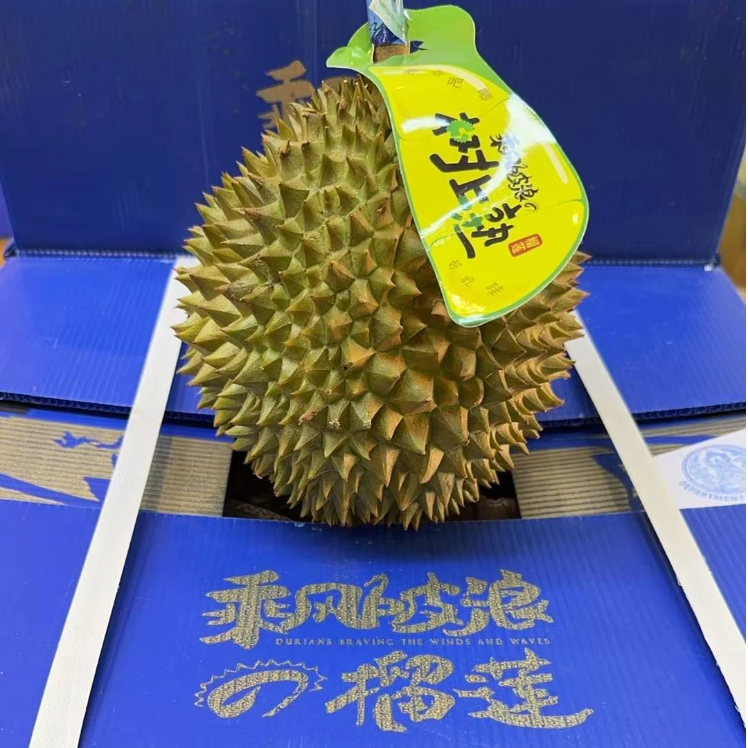 【特价】泰国空运火山乘风破浪软金月颗2-6斤 包三到四房