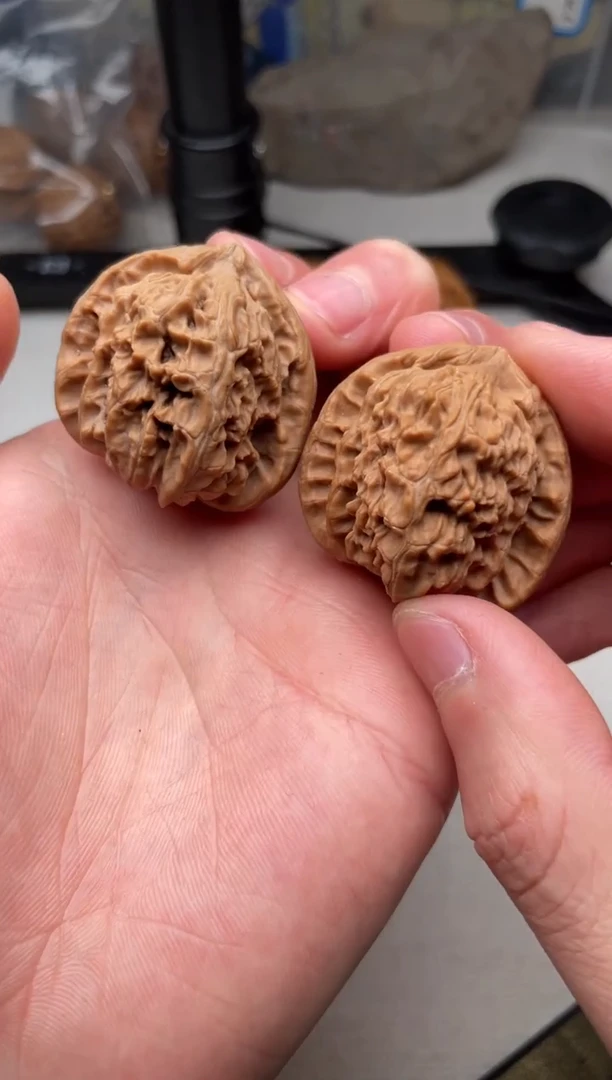 把件文玩核桃白狮子