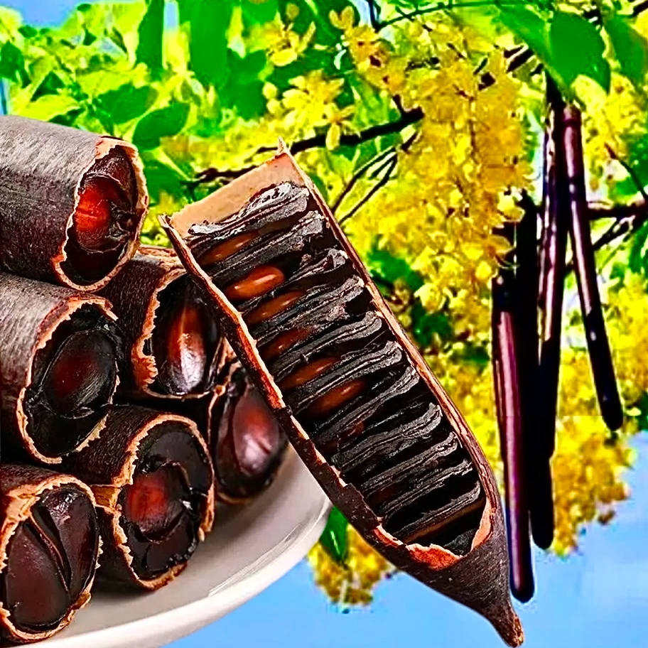 （云南拉屎果段装精选）腊肠干果大解干果美食挖掘机泡水正品新货