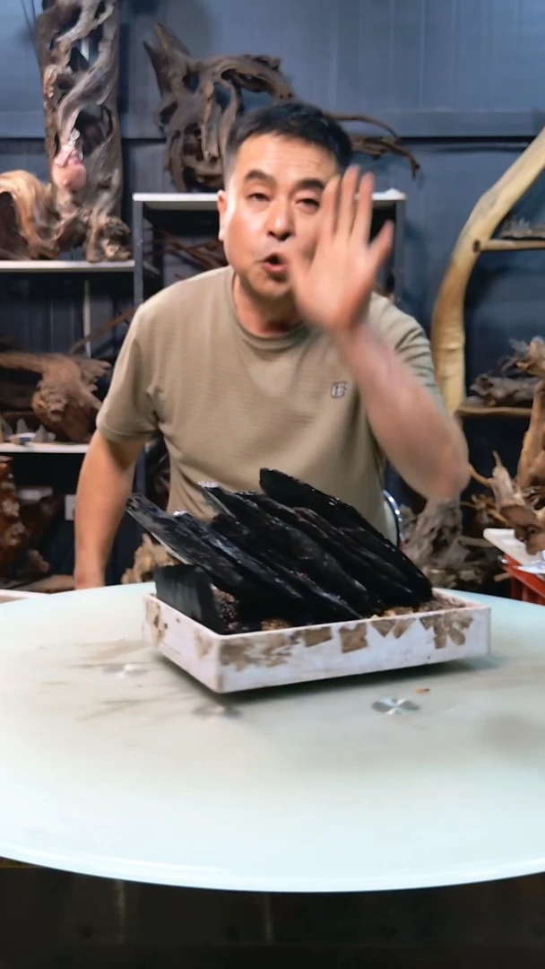 黑片9.5清香阁清香阁清香阁