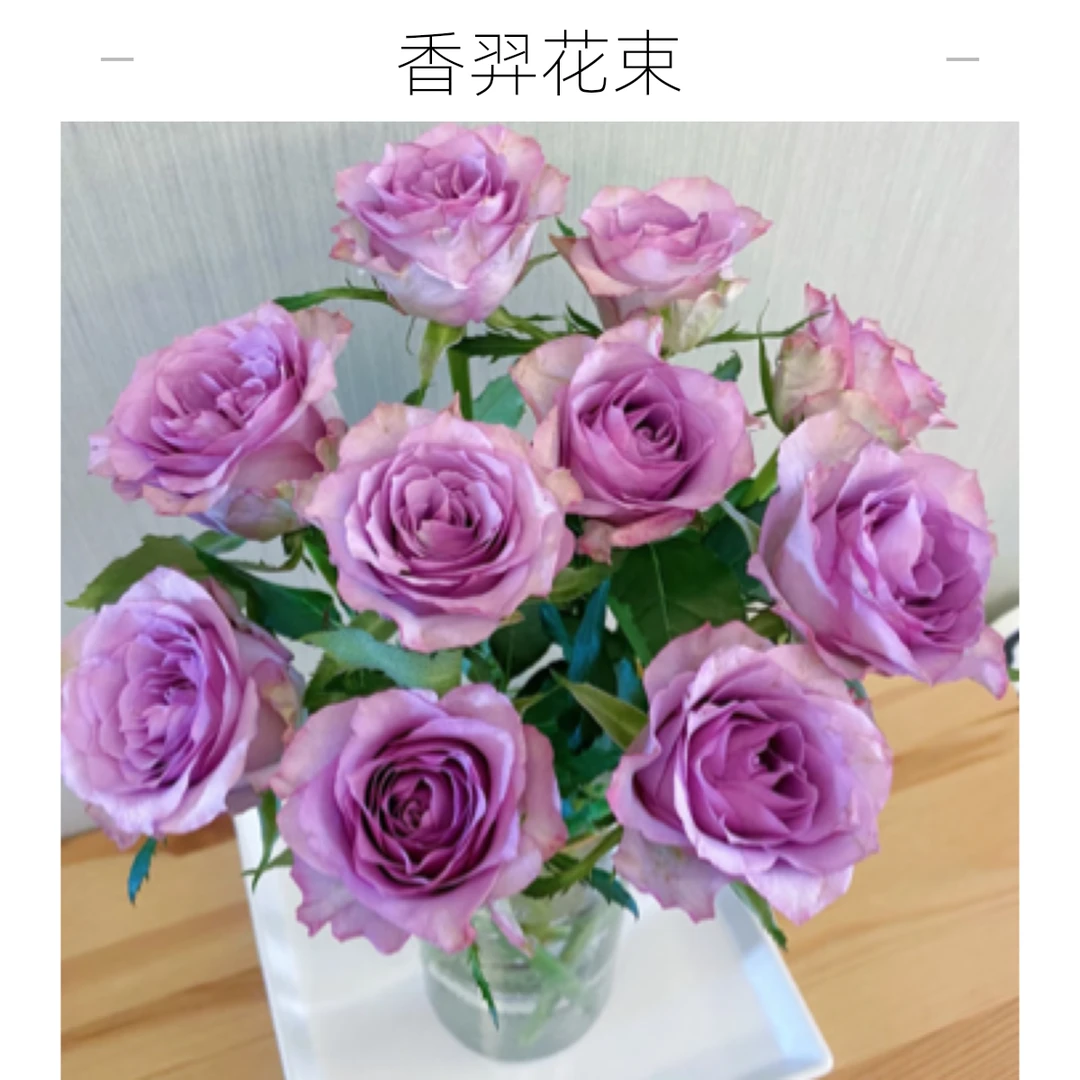 【香羿鲜花】紫霞仙子玫瑰10枝/全场任意满两单及以上包邮
