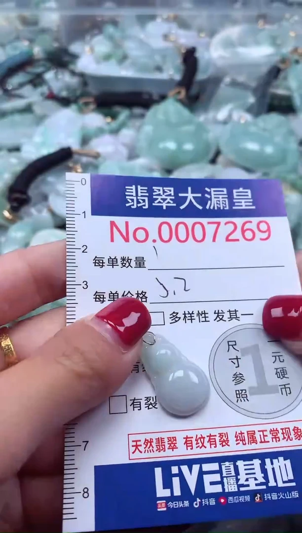 颈饰未镶嵌翡翠7269