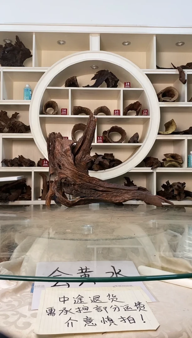 玖****柒鱼缸造景素材紫柚369