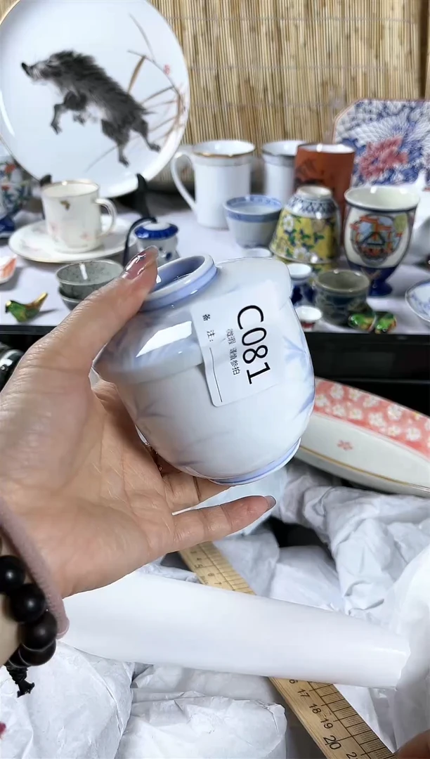 【闪购商品】碟               c081