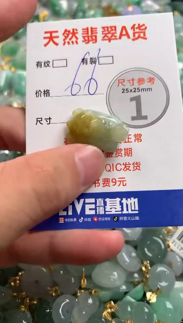 颈饰未镶嵌翡翠28101920