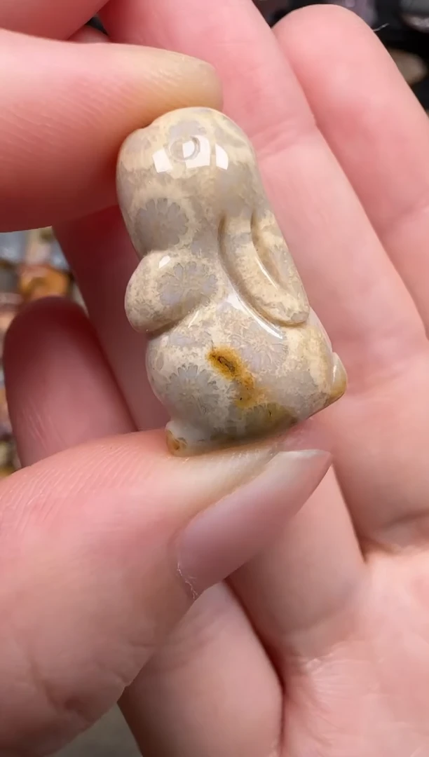 硅化珊瑚（珊瑚玉）未镶嵌颈饰453