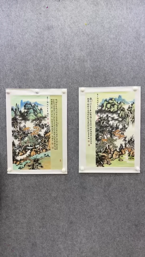 【闪购商品】绘画M申青林-两平尺-两幅国画-原作
