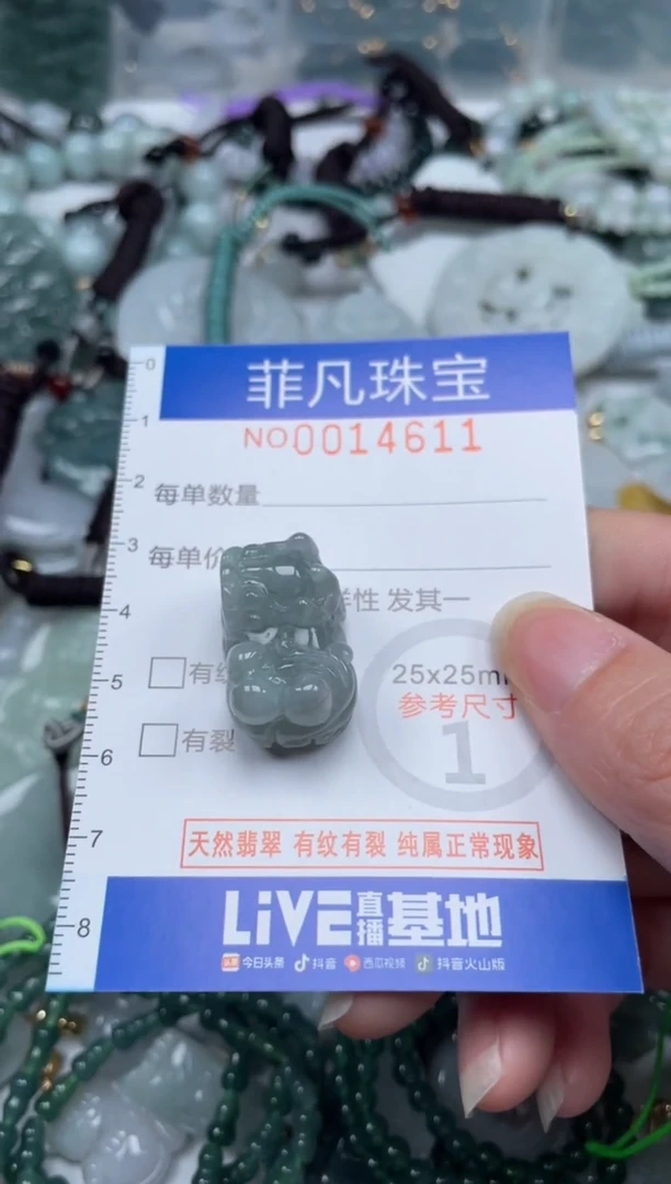 颈饰未镶嵌翡翠14611