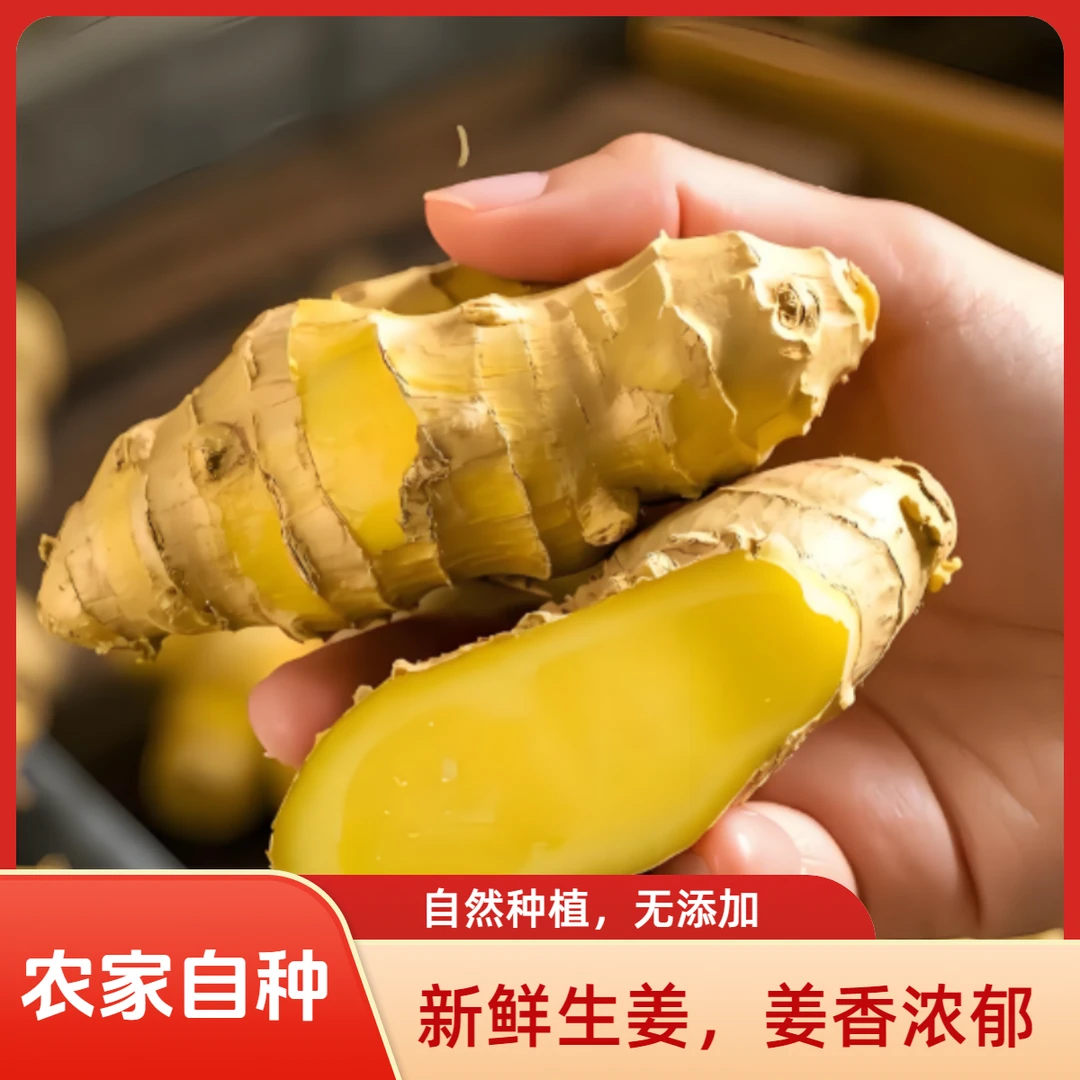 23山地新鲜现挖大黄姜清脆姜香浓郁