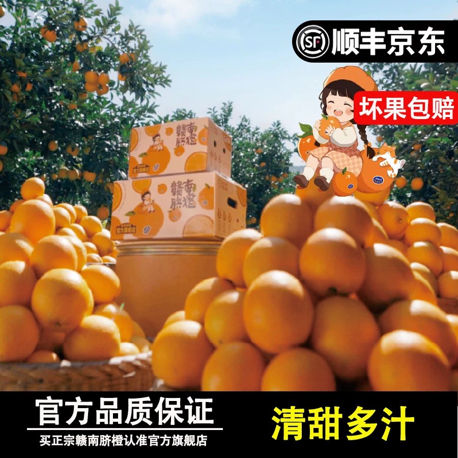 【京东顺丰发】时令水果赣南脐橙新鲜采摘5/10斤产地直发精品中果