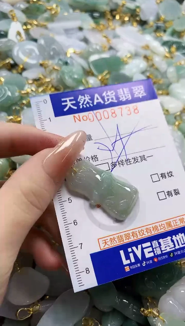 颈饰未镶嵌翡翠天然A货翡翠