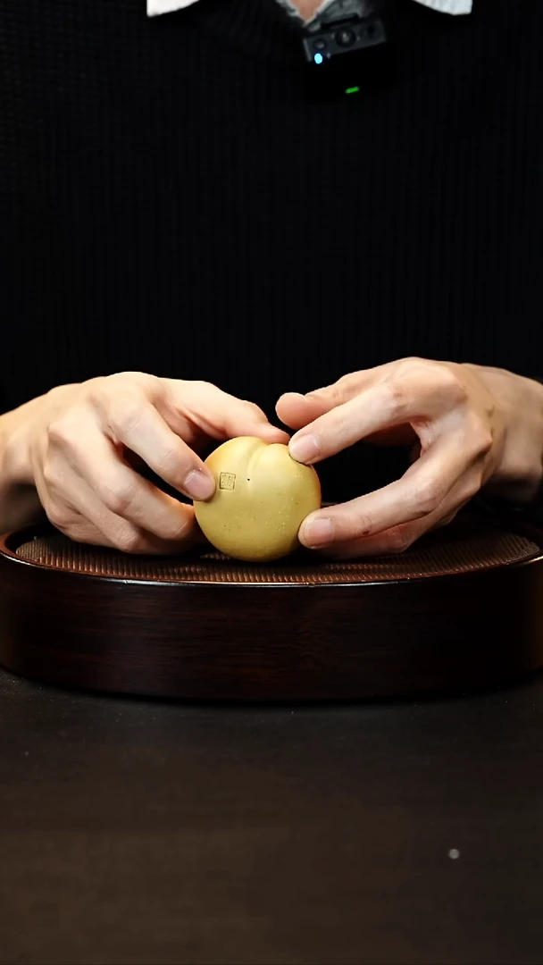 茶壶紫砂宜兴紫砂茶宠C3214