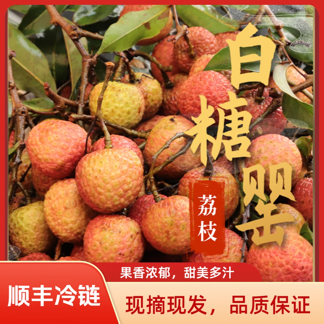 【顺丰冷链】增城白糖罂荔枝新鲜现摘现发果园 3斤精美礼盒送人