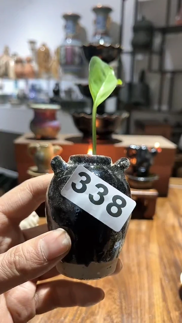 【闪购商品】摆件