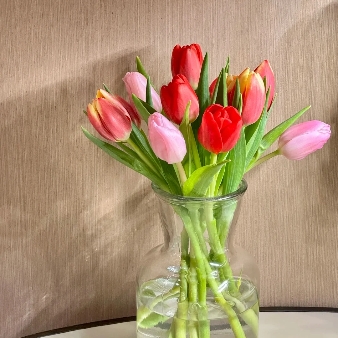 【郁金香10支大合集】辽宁春节特惠次日达，二单升级顺丰包邮