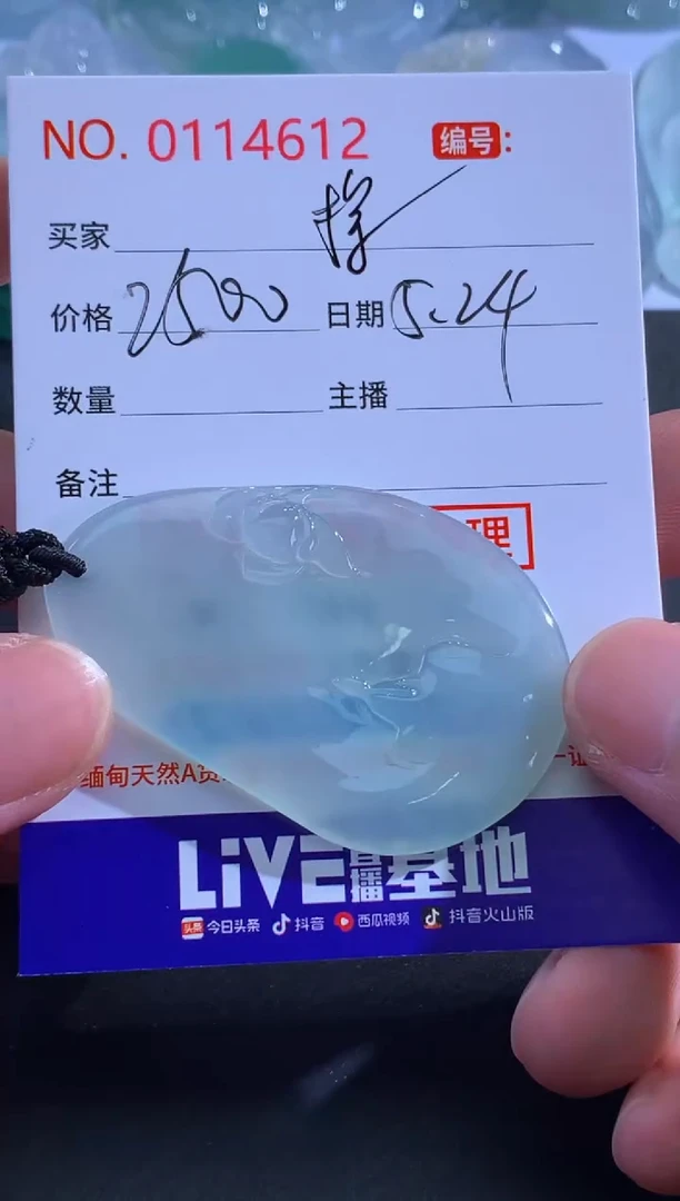 翡翠未镶嵌颈饰探