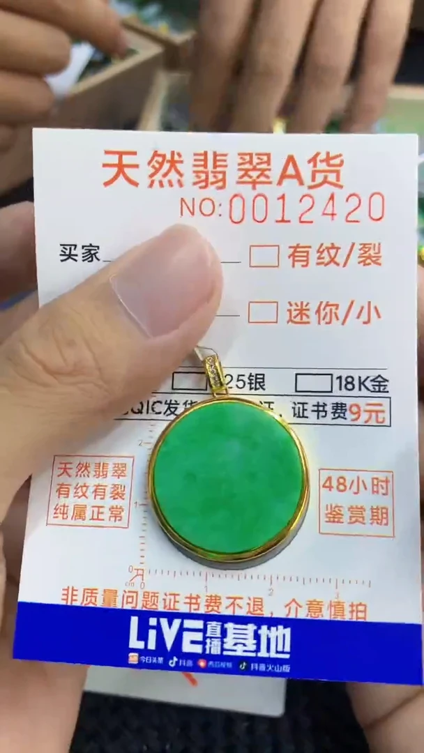 翡翠未镶嵌颈饰             1