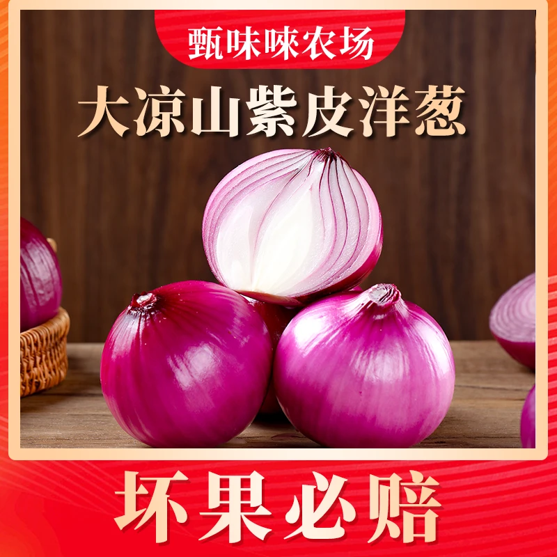 【甄味唻农场】大凉山紫皮洋葱5斤 单果200g-280g / 400g+ 6-12个