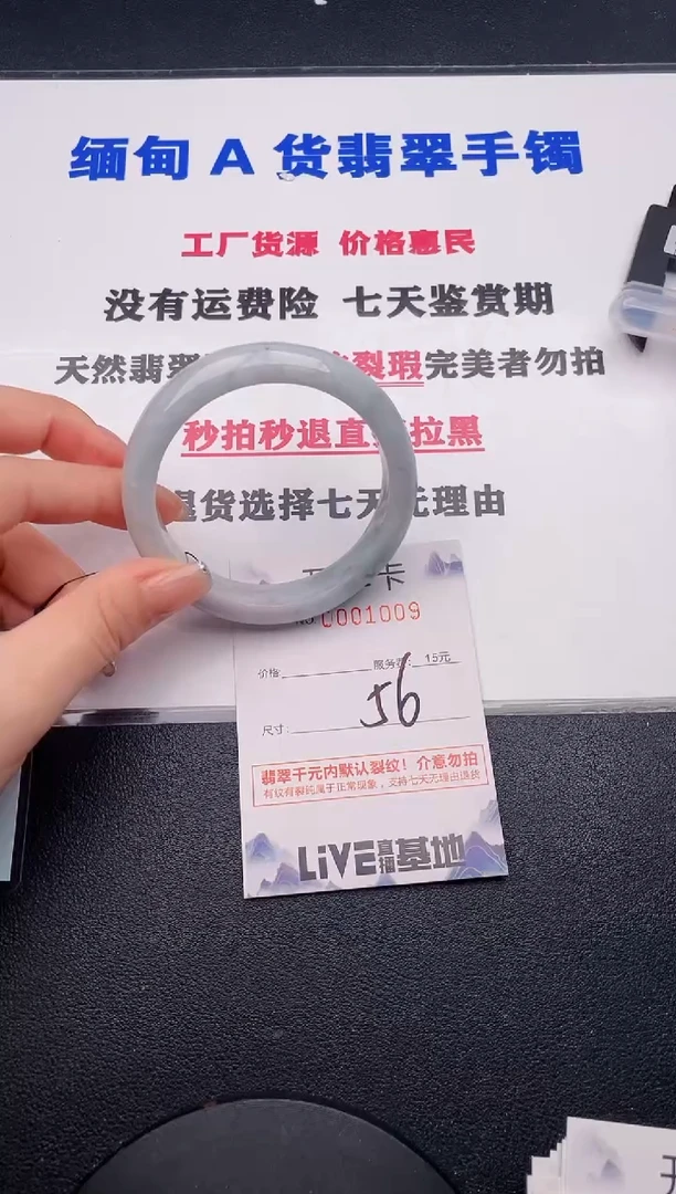 未镶嵌手镯翡翠09