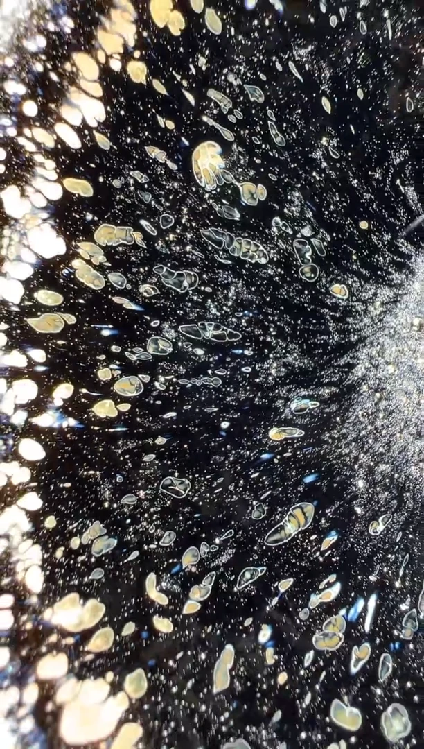 茶盏15君兮龙窑刘爱君暇宝680