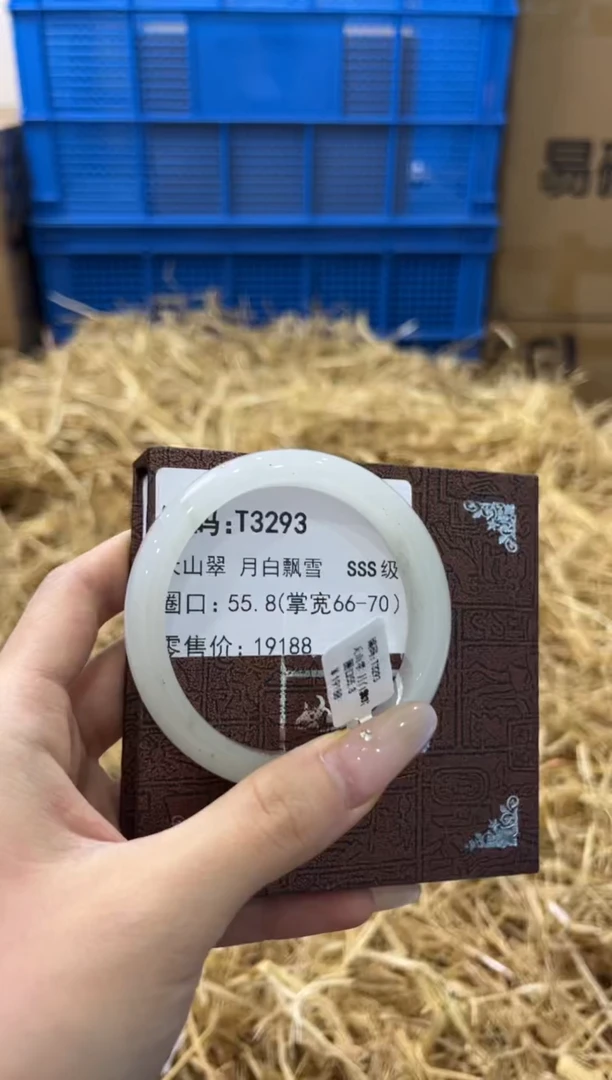 未镶嵌手镯石英质玉T3293