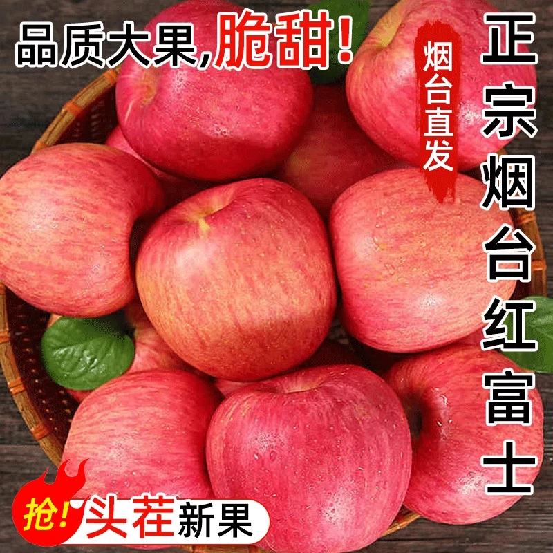 正宗山东烟台红富士苹果脆甜多汁新鲜水果产地新鲜直发