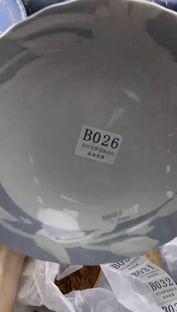 瓷片          B026