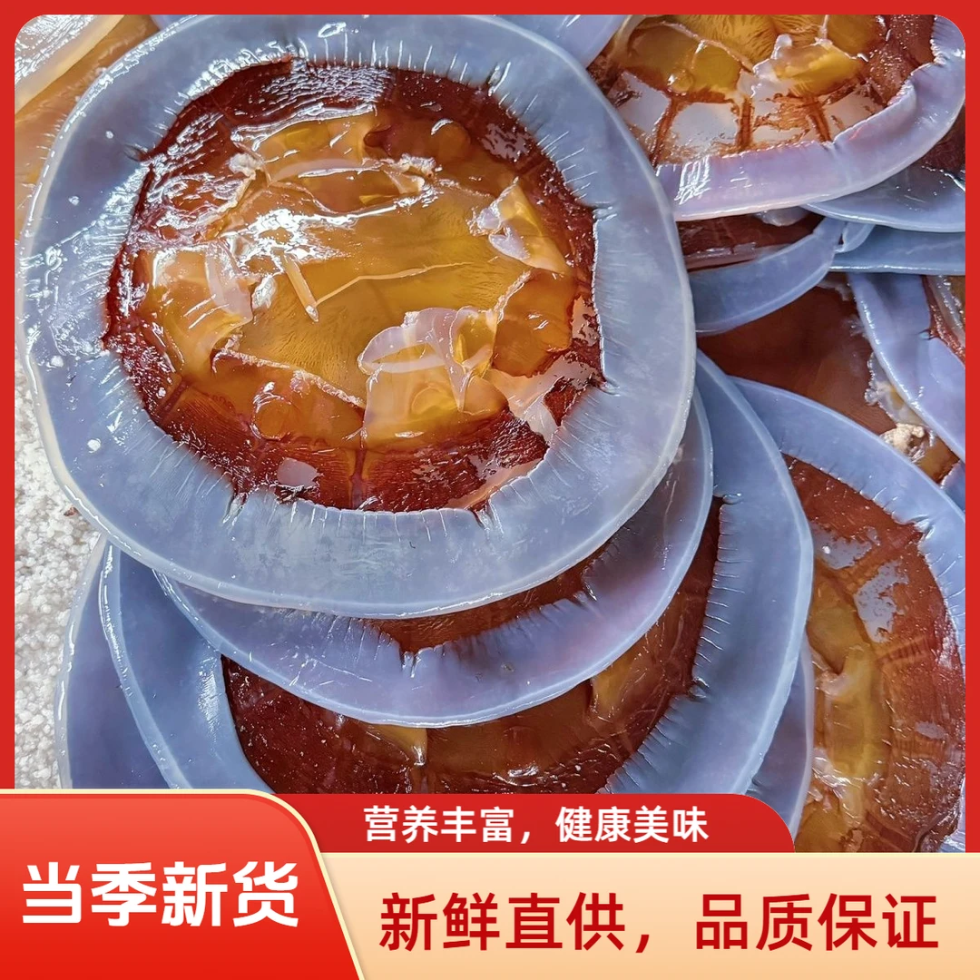 黄海冷水海蜇盖5斤 三矾三盐非即食 凉拌爽口 天然海鲜美食L