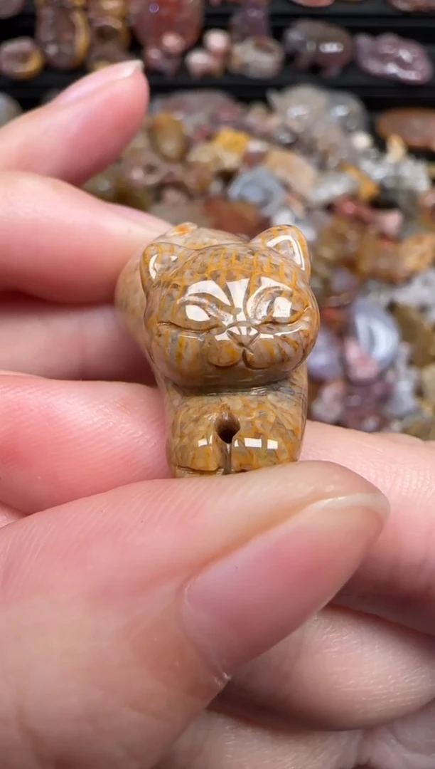 颈饰未镶嵌硅化珊瑚（珊瑚玉）333