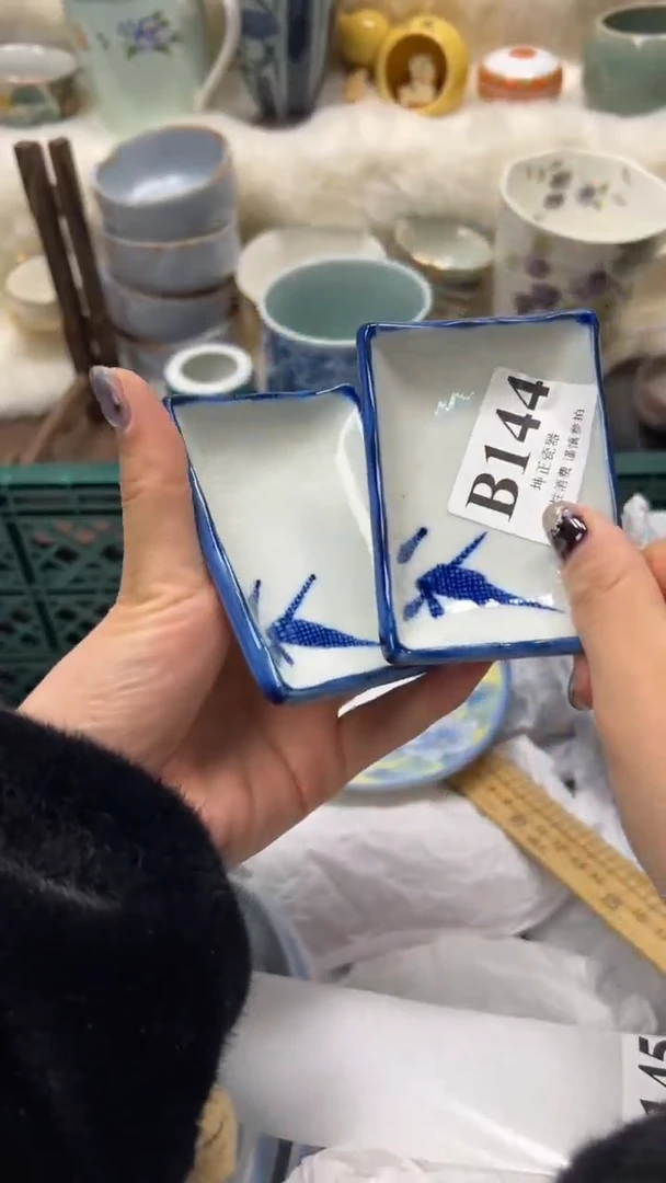 【闪购商品】瓷片          B144