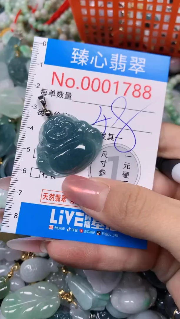 【闪购商品】翡翠颈饰未镶嵌含绳0001788