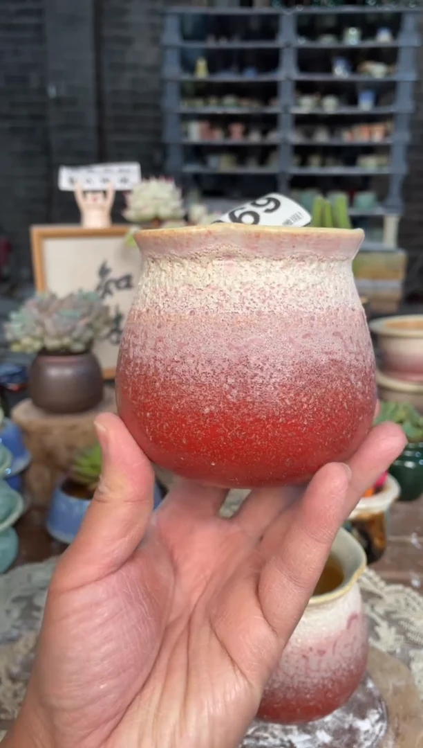瓷片969小芳直播编号