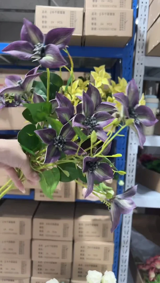 2枝紫色铁线兰