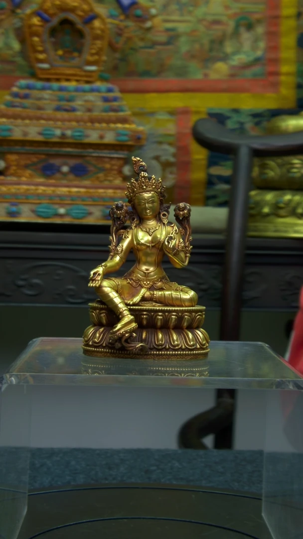 【闪购商品】1111111111111111111