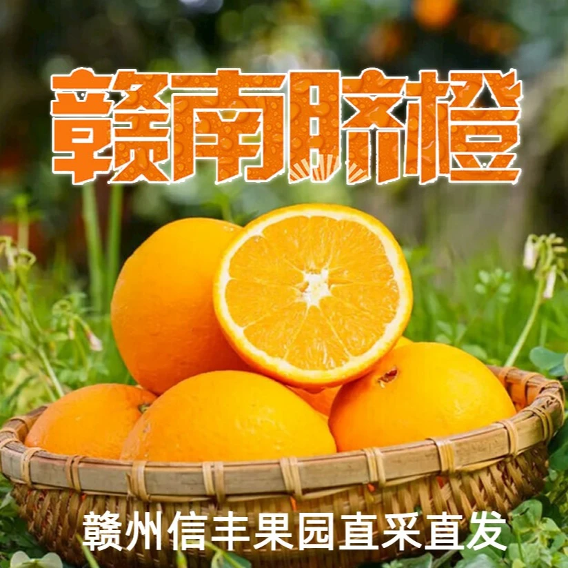 正宗赣南脐橙10斤礼盒装送礼专用信丰果园采摘发货
