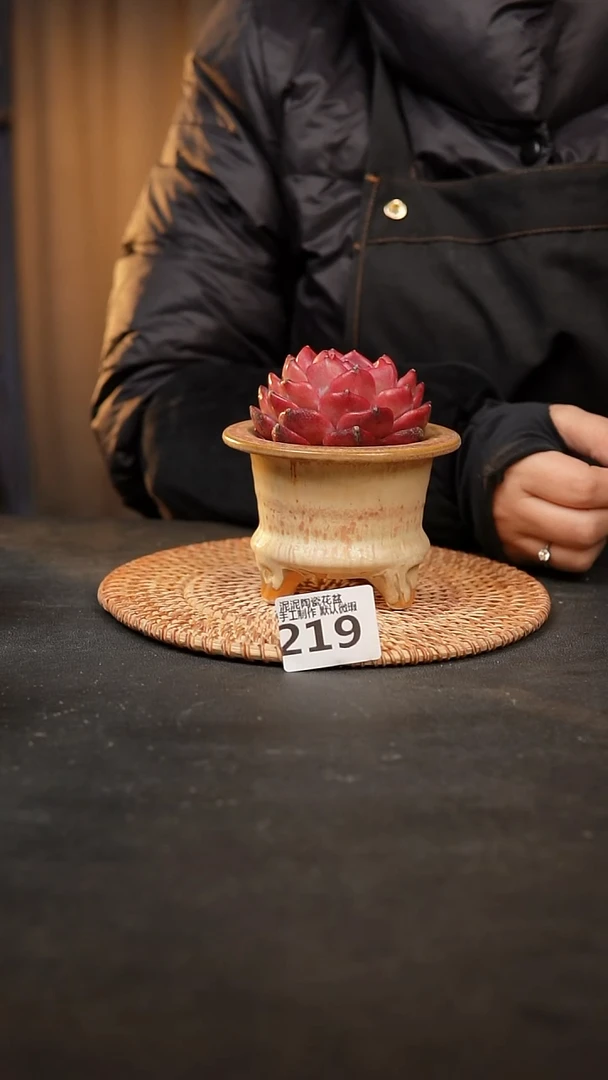 【闪购商品】瓷片219泥泥手工花盆口7-8高7-8