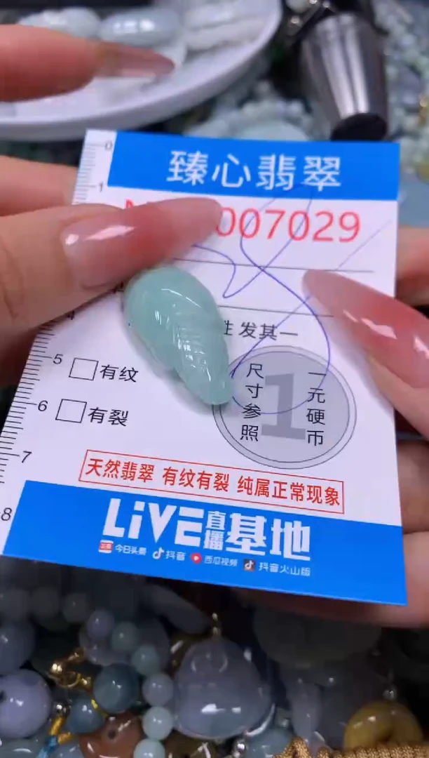 【闪购商品】翡翠颈饰未镶嵌含绳0007029