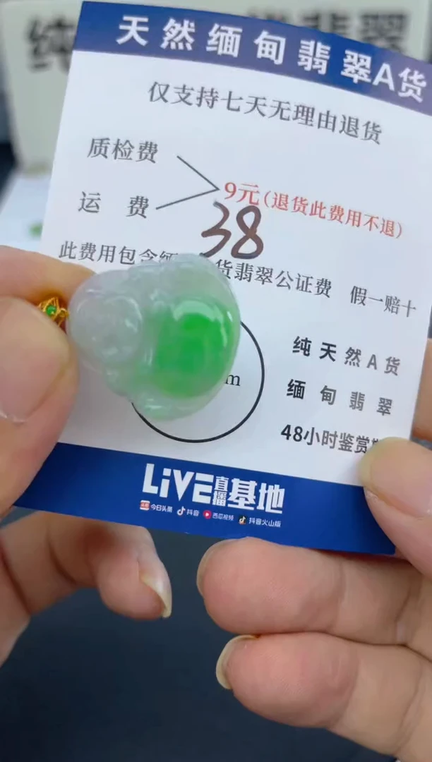 颈饰18K金镶嵌翡翠天然A货翡翠