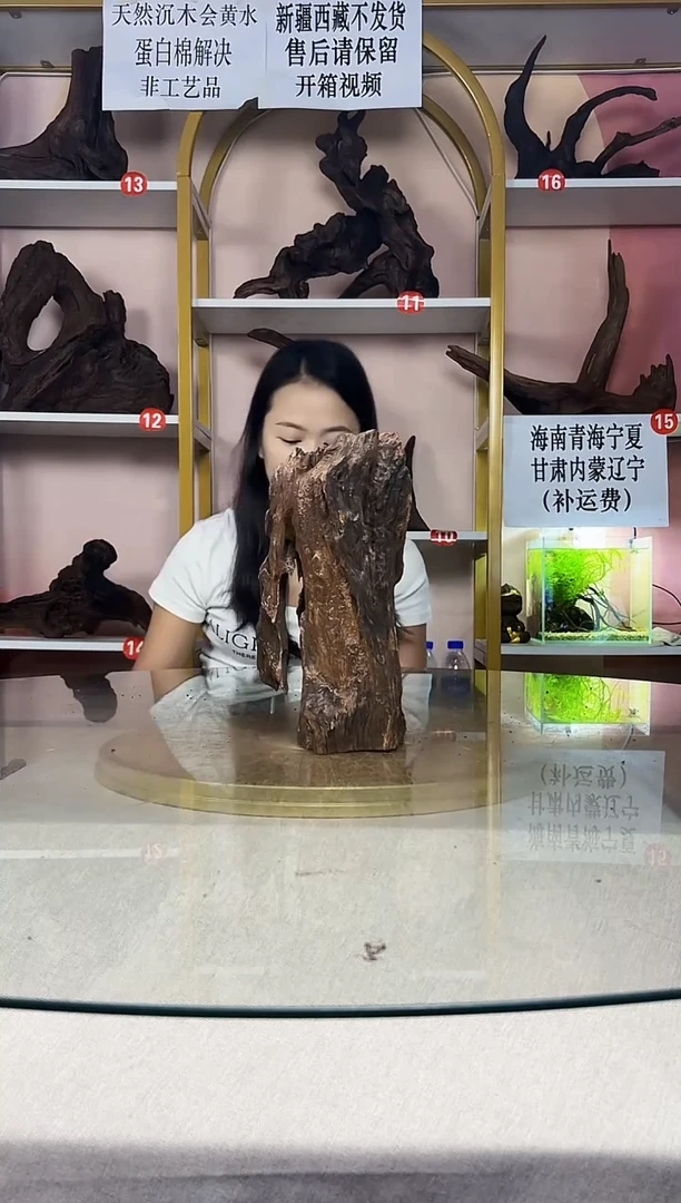 方*SQCM秒沉水A409