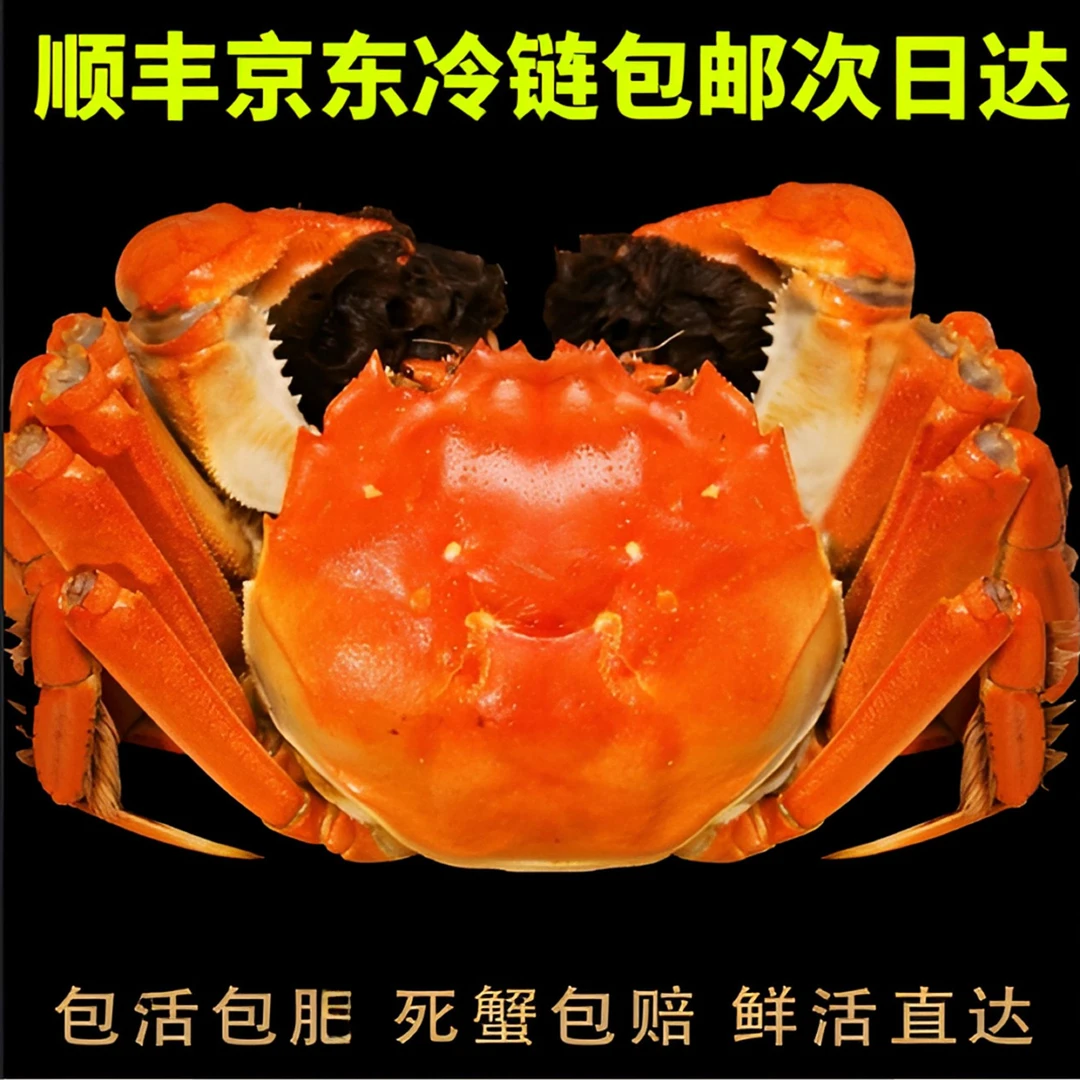 【活蟹】现捕现捞大闸蟹公4.5-4.2两母3.5-3.2两共8-10只N