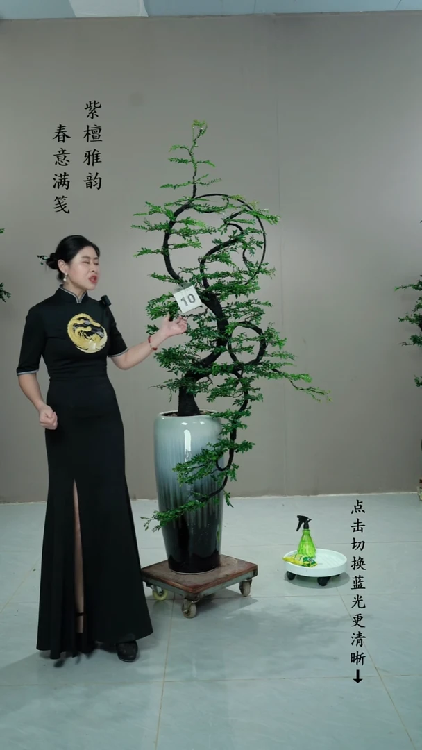 无花朵奋*10号链接