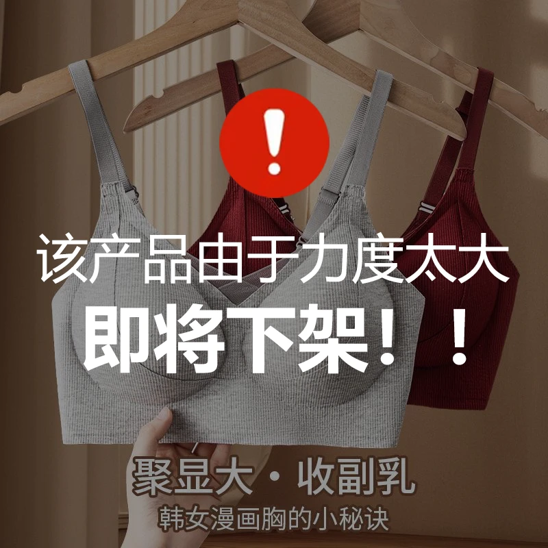 【提拉有型】双面磨毛亲肤舒适防下垂聚拢无钢圈立体杯文胸内衣