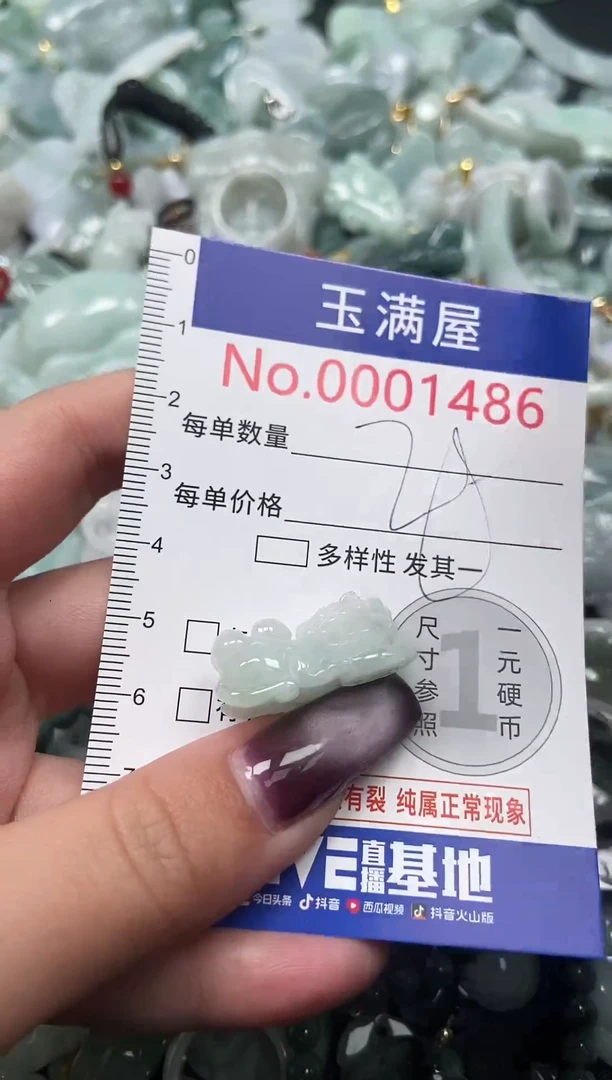 颈饰未镶嵌翡翠1486