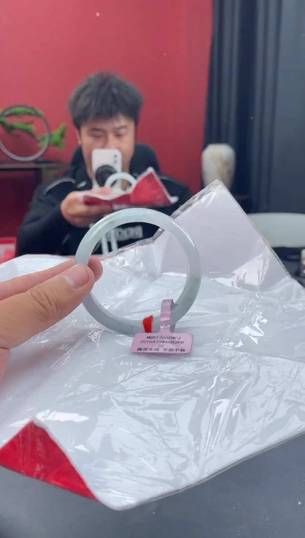 未镶嵌手镯翡翠5