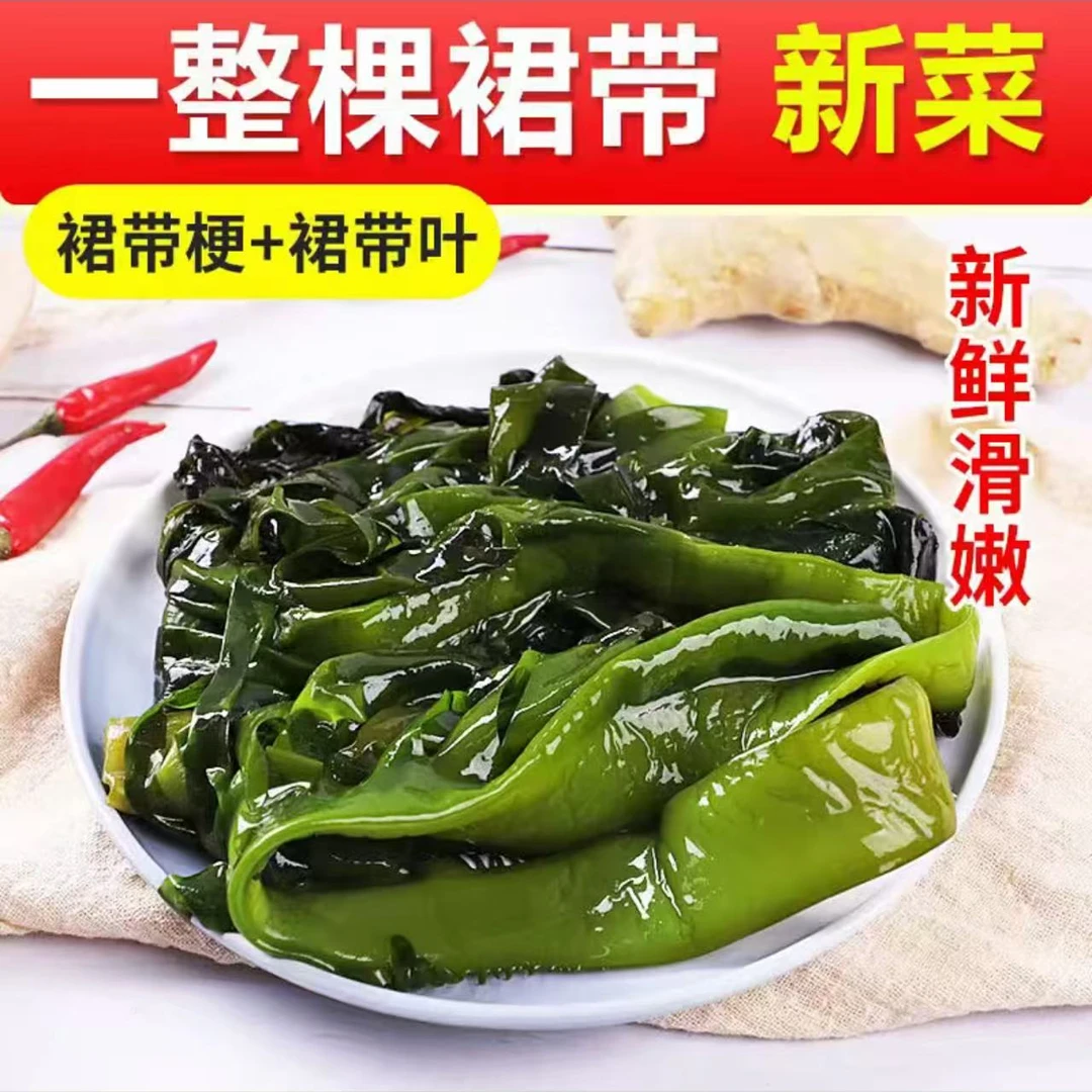 盐渍今年新打捞盐渍整根裙带菜凉拌菜整箱裙带菜一整颗裙带